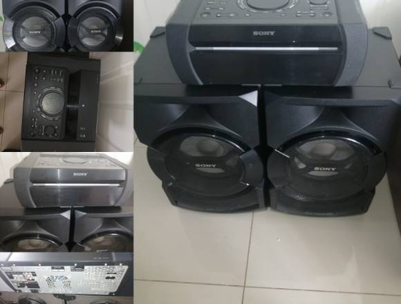 Equipo de sonido  sony shake 30 