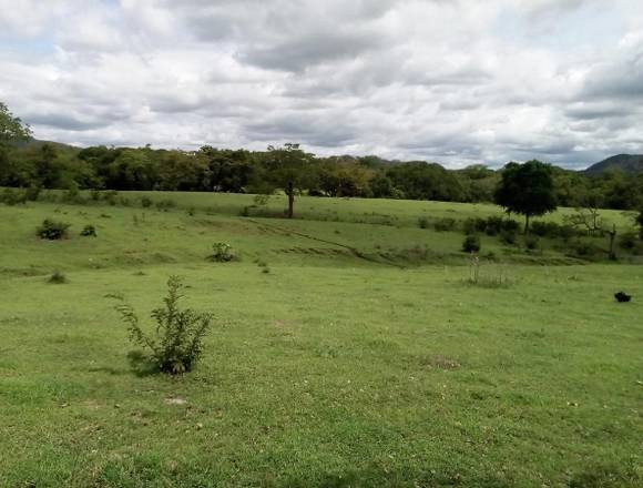 HERMOSA FINCA DE 500 HCTS A LA VENTA EN NICOYA