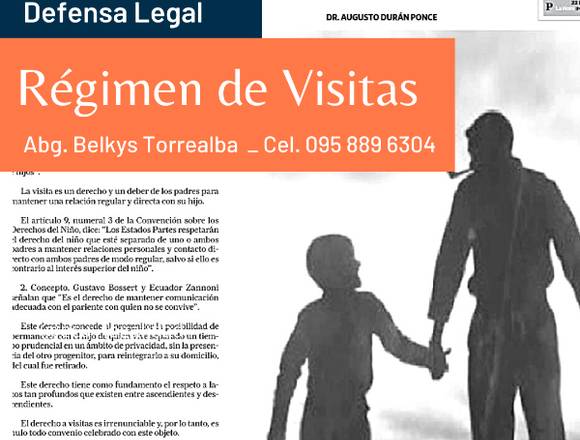 Defensa Legal - Derecho de Visitas