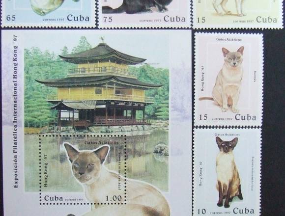 TIMBRES POSTALES GATOS