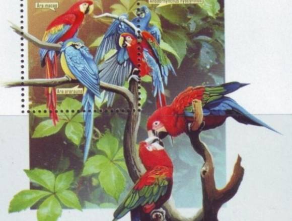 TIMBRE POSTAL GUACAMAYA