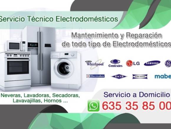 Técnico de Reparación Lavadoras