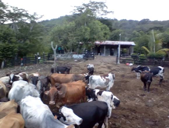 VENTA DE FINCA BOACO