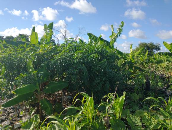 De oportunidad Hoyo Claro, Cap Cana solar 