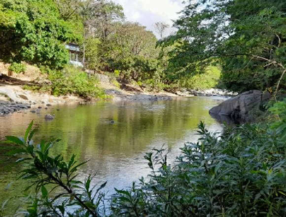 VENDO FINCA DE 47 HAS./RECURSO HÍDRICO EN PANAMÁ