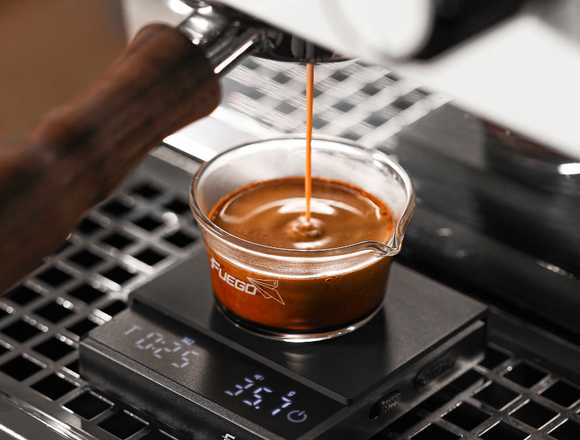  Fuego Kitchen Coffee Scale with Timer