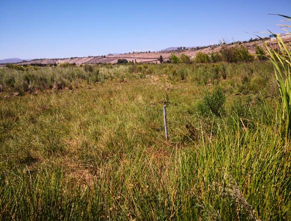 LOTEOS EN VENTA , OVALLE, REGIÓN DE COQUIMBO.