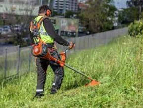 Mantenimiento de zonas verdes- Bucaramanga