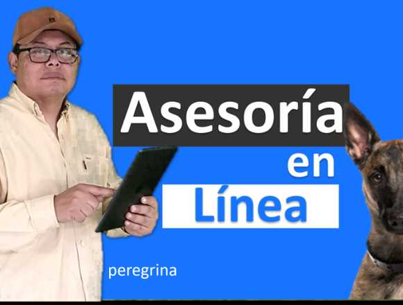 Clases de Entrenamiento para Perros en Línea