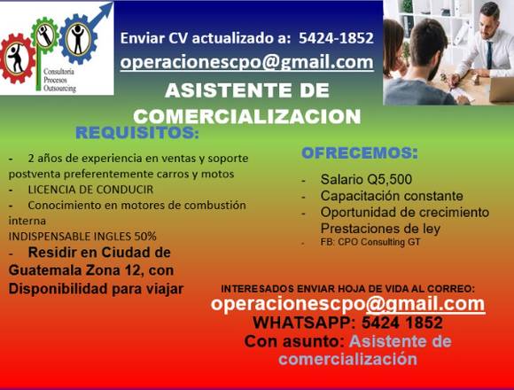 ASISTENTE DE VENTAS / COMERCIALIZACION 