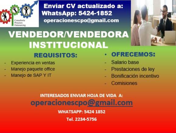 vendedor/vendedora institucional 