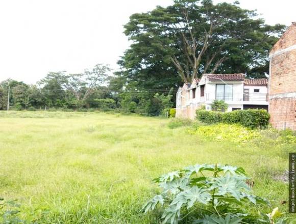 VENTA DE LOTES URBANOS EN CARTAGO