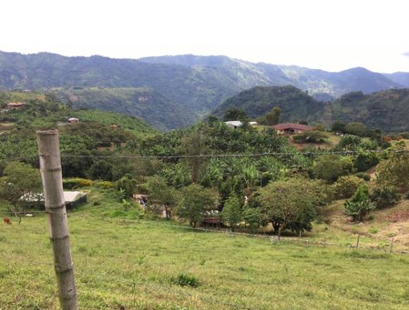 VENTA HERMOSO LOTE VEREDA LA TRINA LIBANO TOLIMA