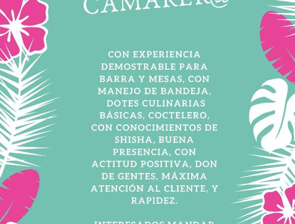 SE BUSCAN CAMARER@S/COCTELERO/COCINER@