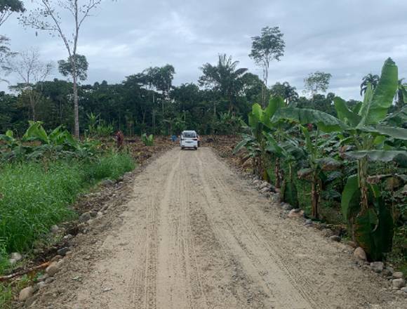 Terreno en Archidona: 1ha con acceso y balsa