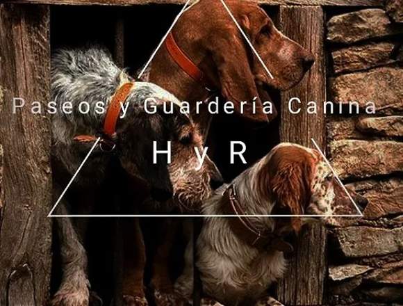 Guardería para Perros 