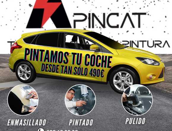 PINTAR COCHE COMPLETO