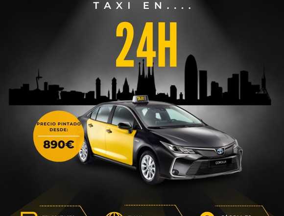 PINTADO TAXI en 24h!!!