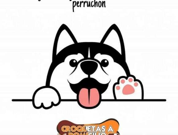 croquetas para perros 