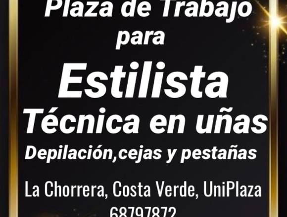 Plaza de trabajo para ESTILISTA