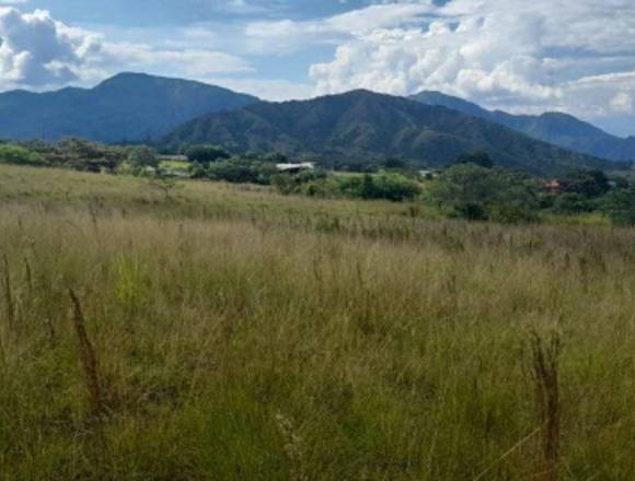 VENTA DE 2 LOTES EN UNO MAZATLÁN GIGANTE HUILA