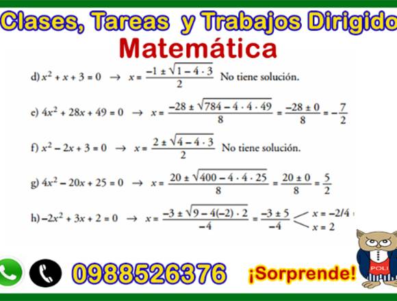 Profesor de matemática,física,química,deberes