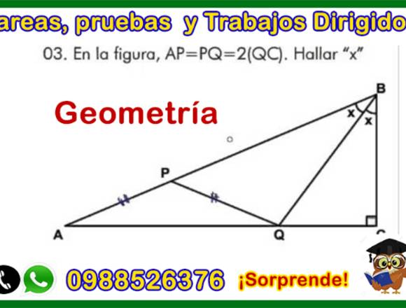 matemática, física,química,geometría,trigonometría