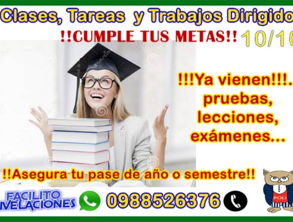 Tareas dirigidas, trabajos,física,quimica