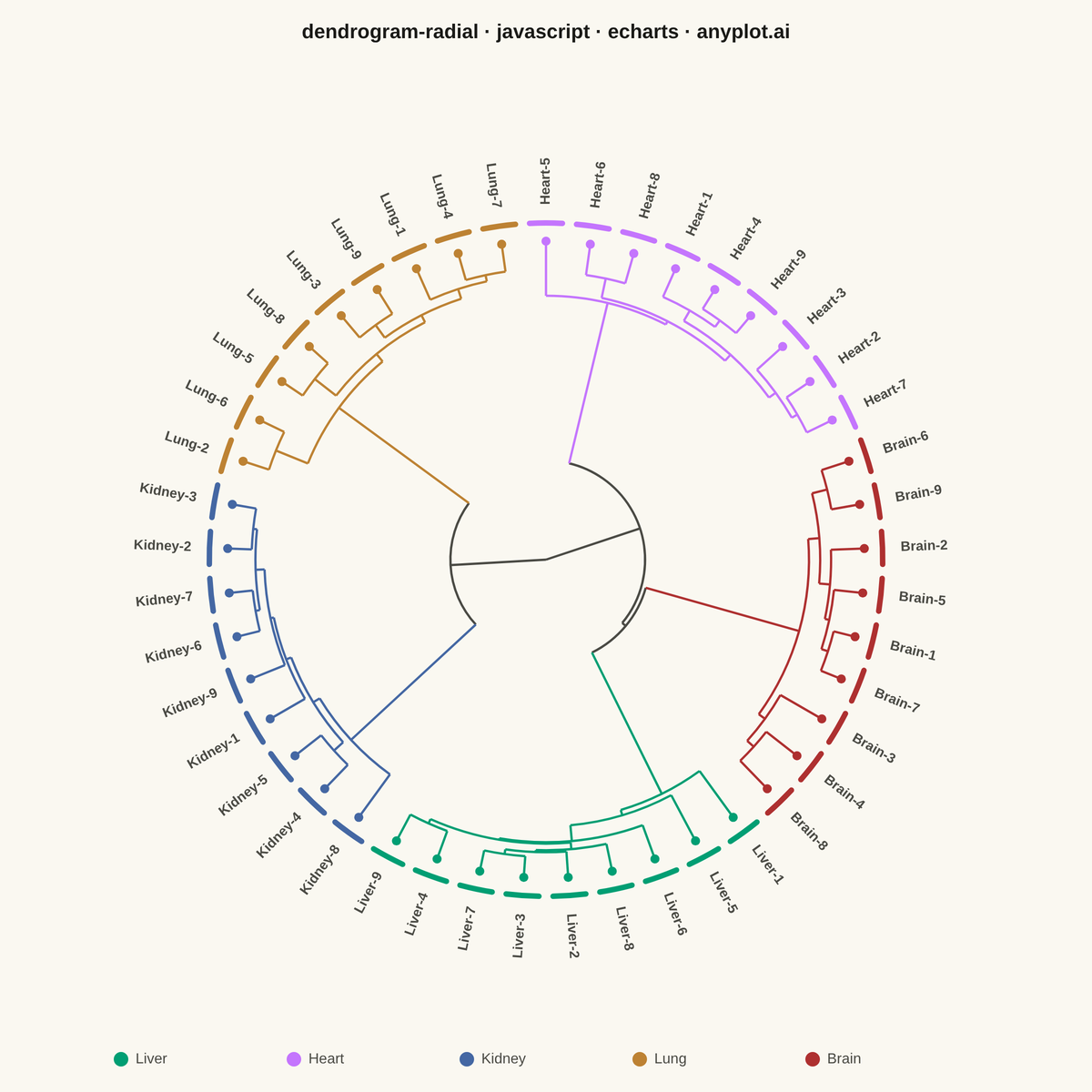Radial Dendrogram rendered with Apache ECharts