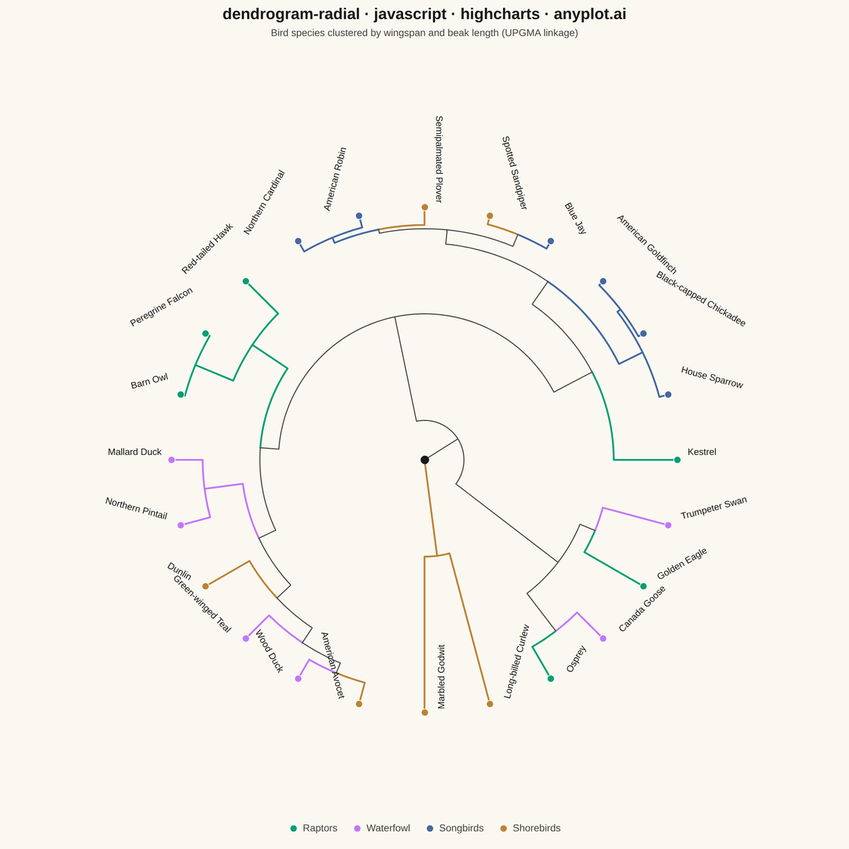Radial Dendrogram rendered with Highcharts