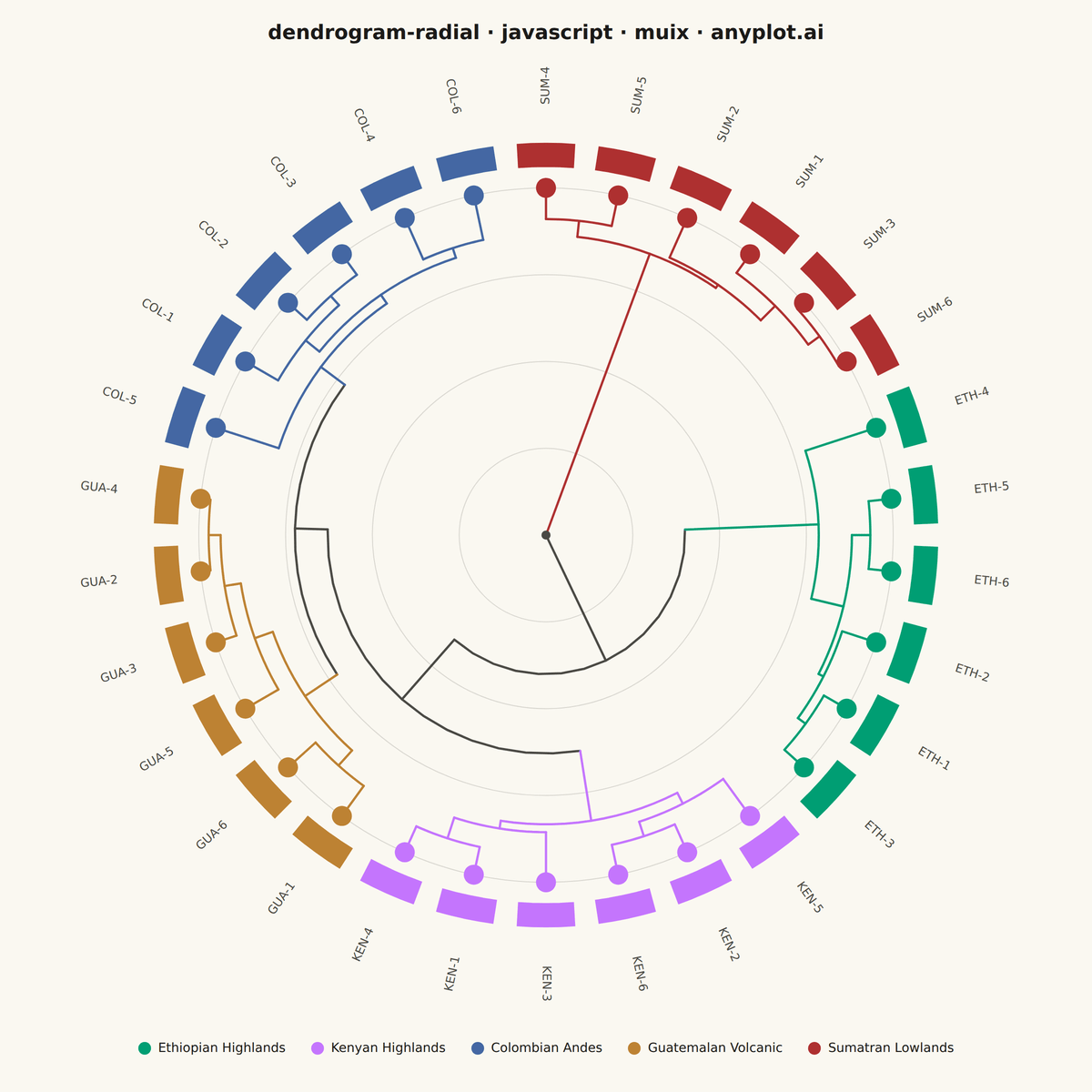 Radial Dendrogram rendered with MUI X Charts