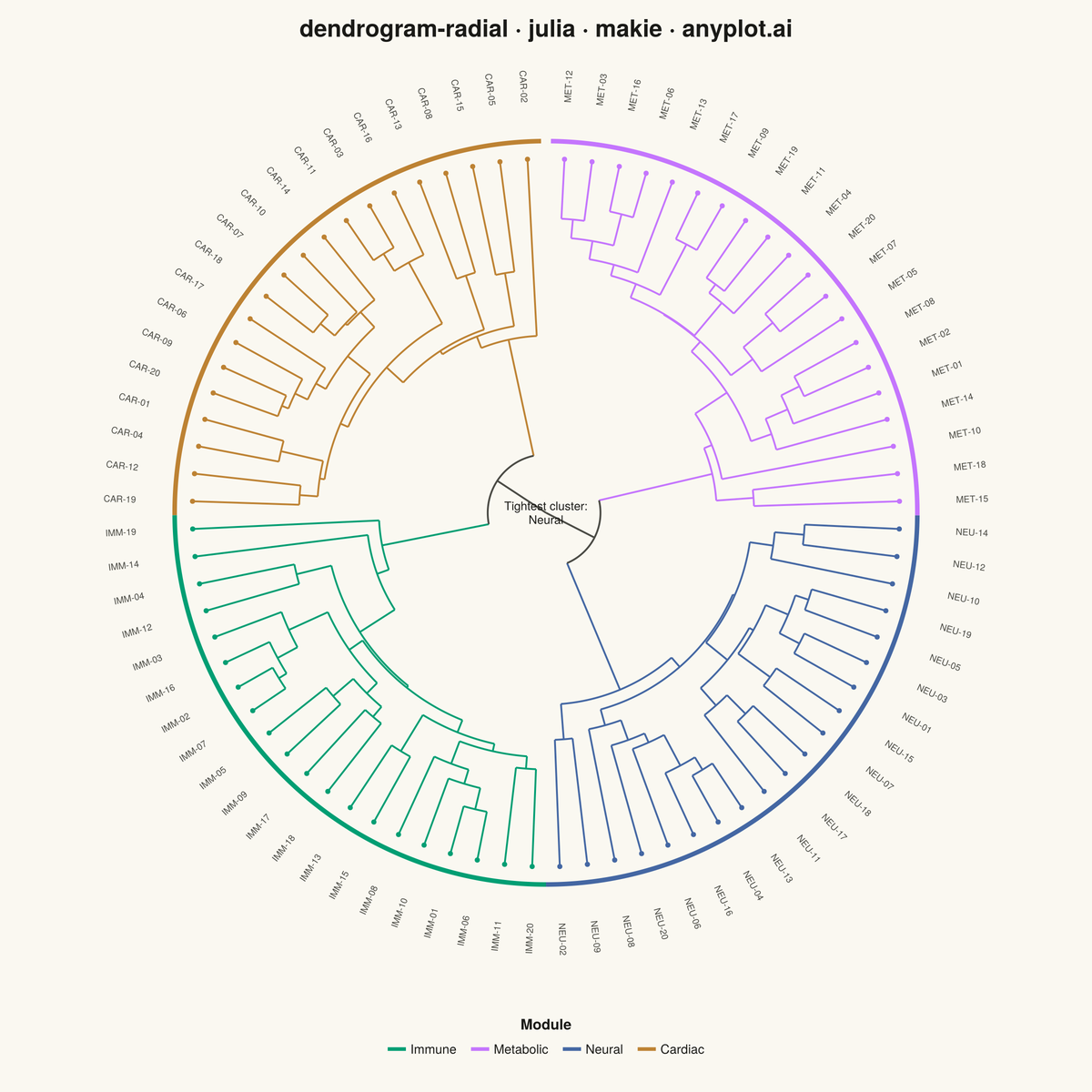 Radial Dendrogram rendered with Makie.jl