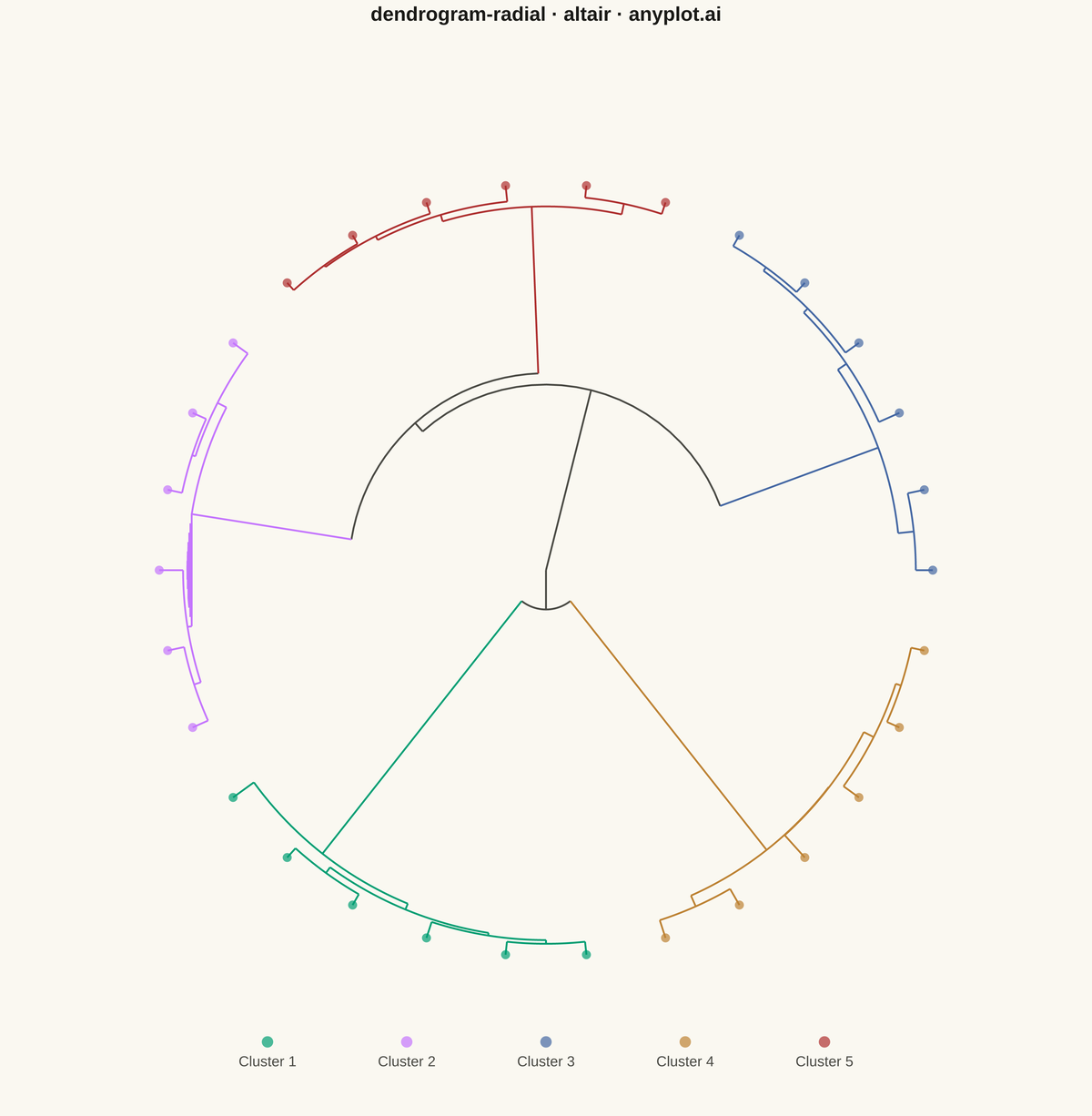 Radial Dendrogram rendered with Altair