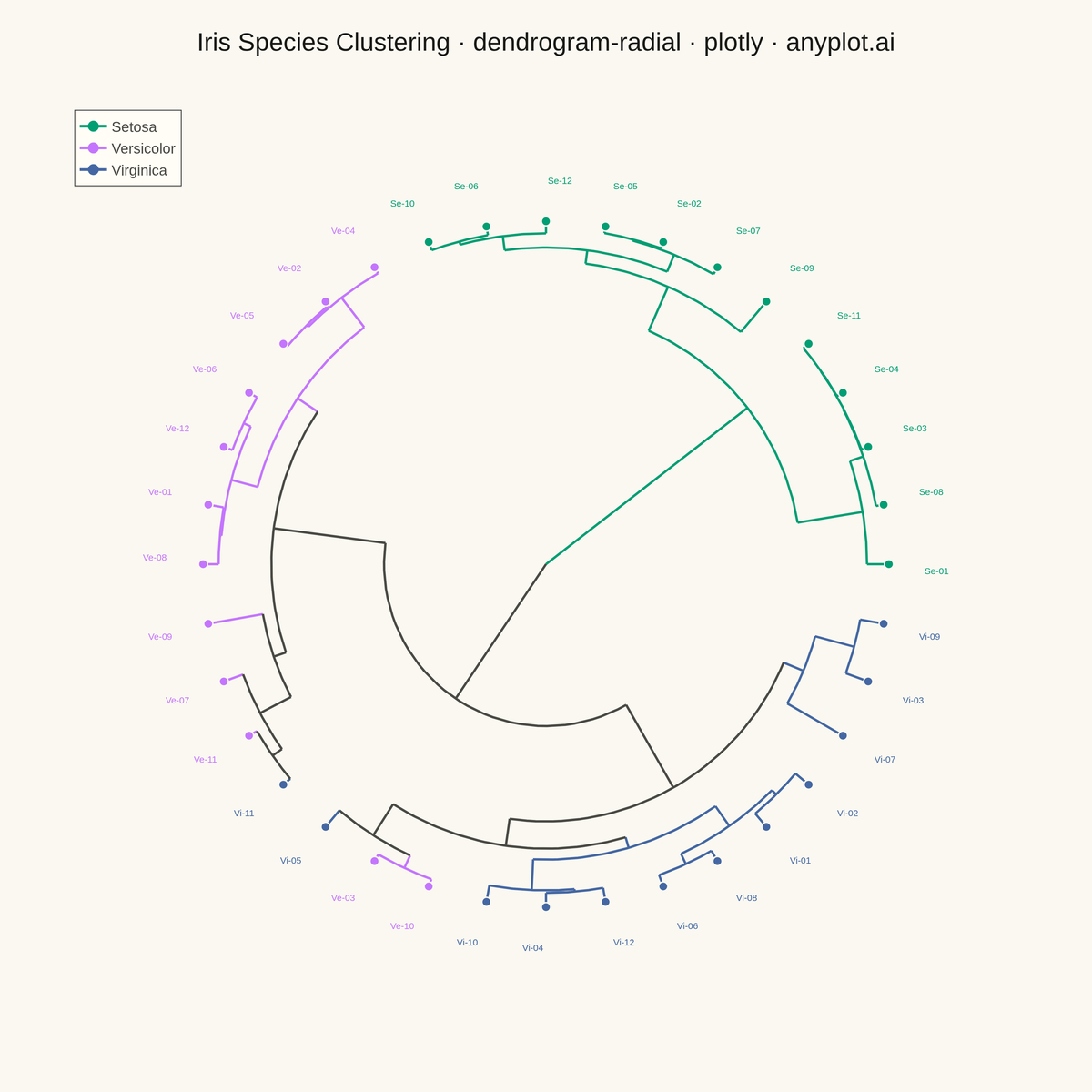 Radial Dendrogram rendered with Plotly