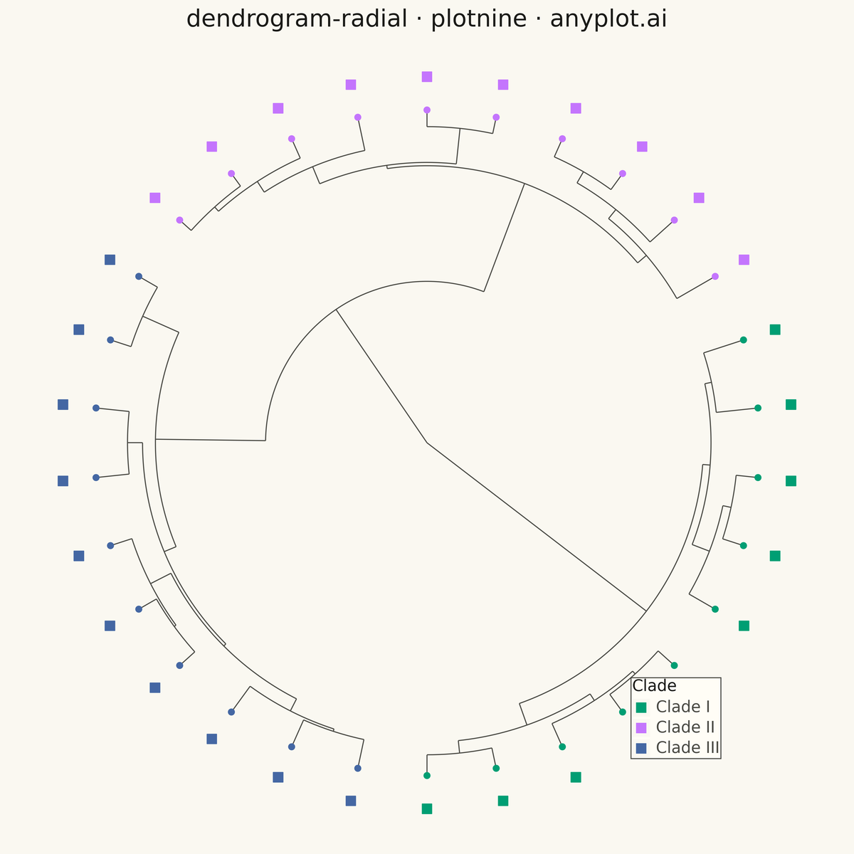 Radial Dendrogram rendered with plotnine