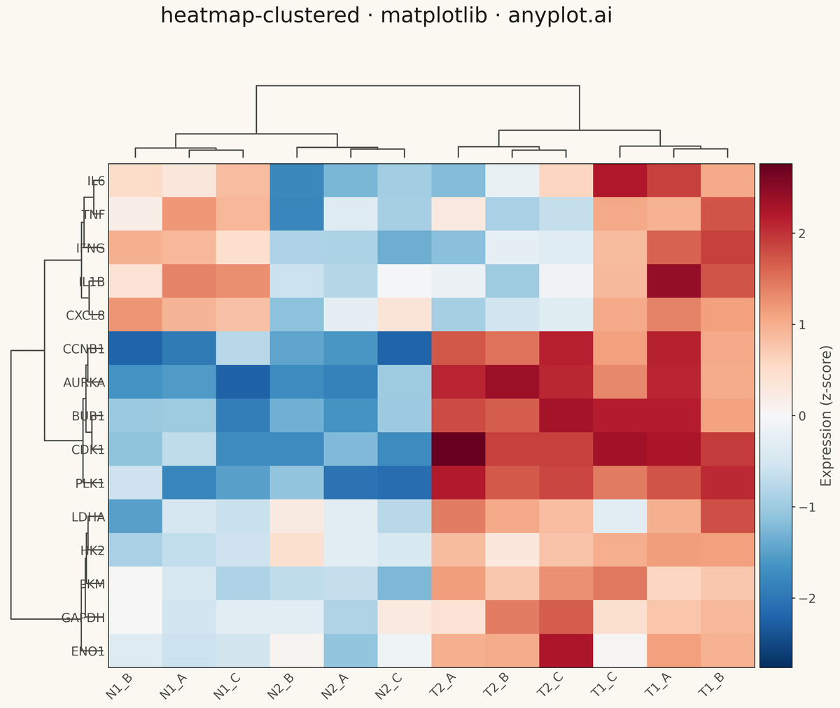 Clustered Heatmap rendered with Matplotlib