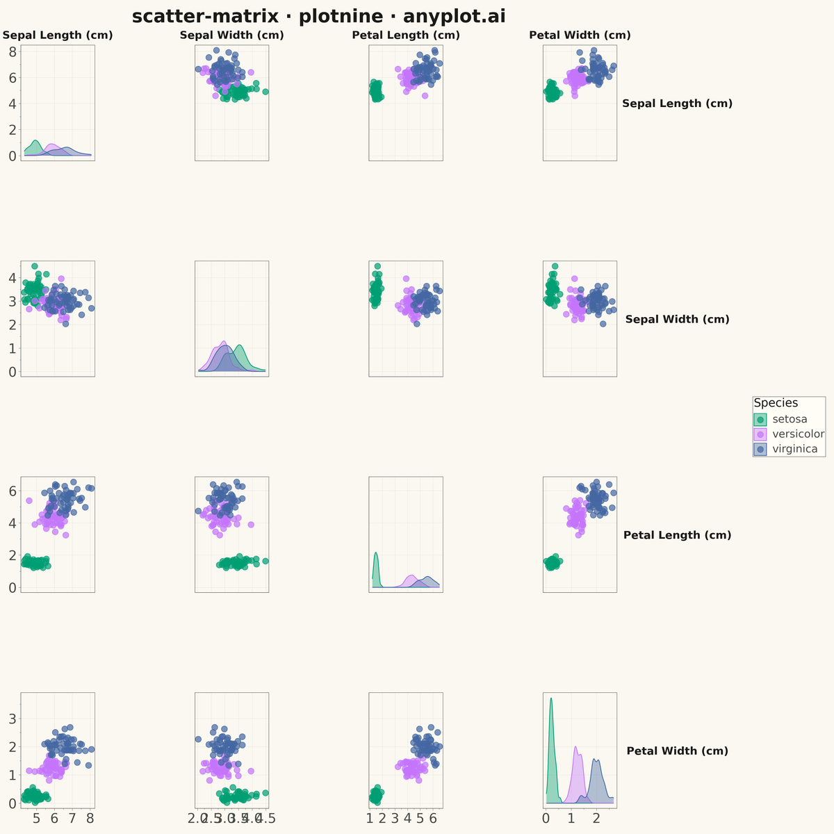 Scatter Plot Matrix