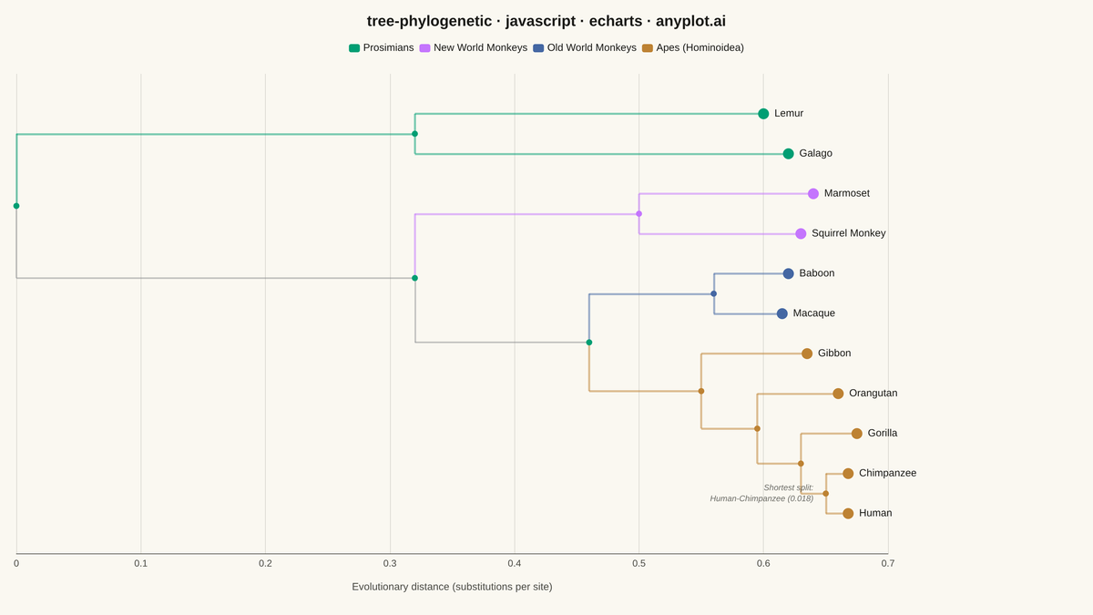 Phylogenetic Tree Diagram rendered with Apache ECharts
