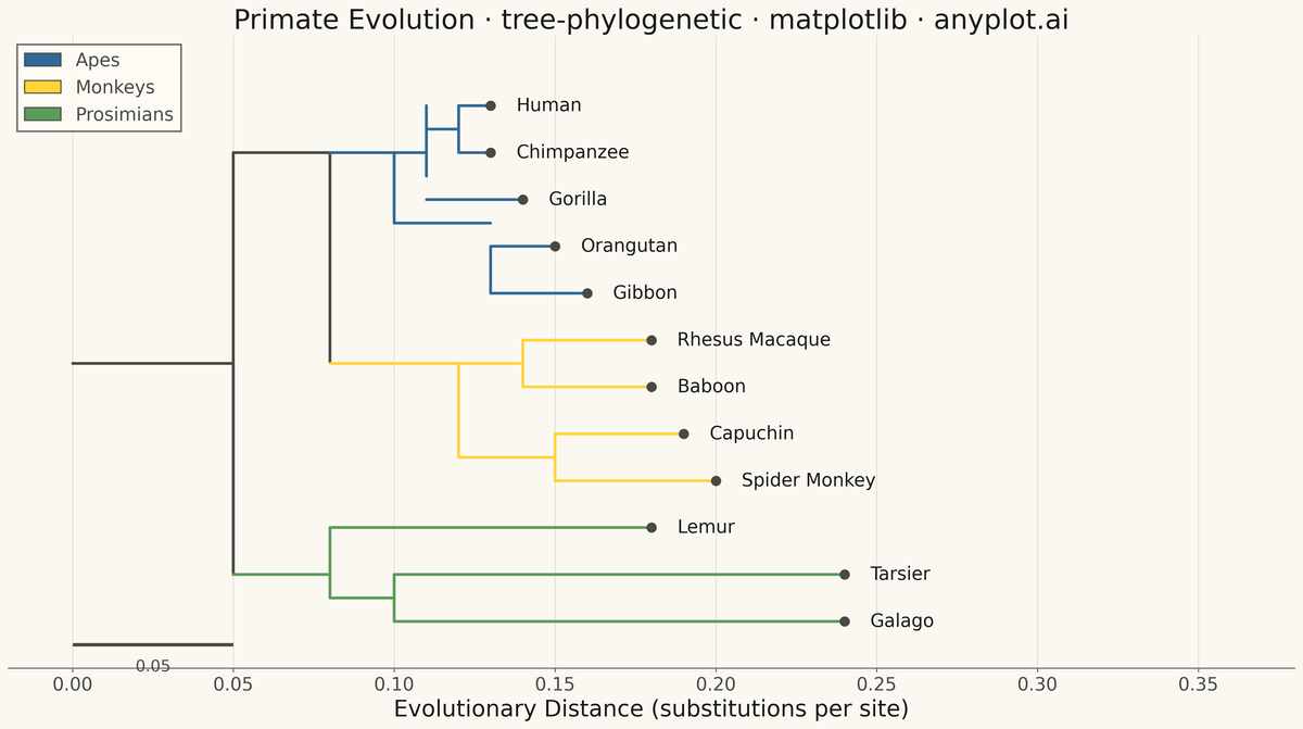 Phylogenetic Tree Diagram rendered with Matplotlib