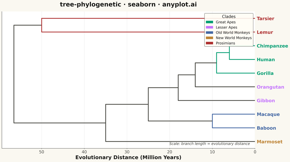 Phylogenetic Tree Diagram rendered with Seaborn