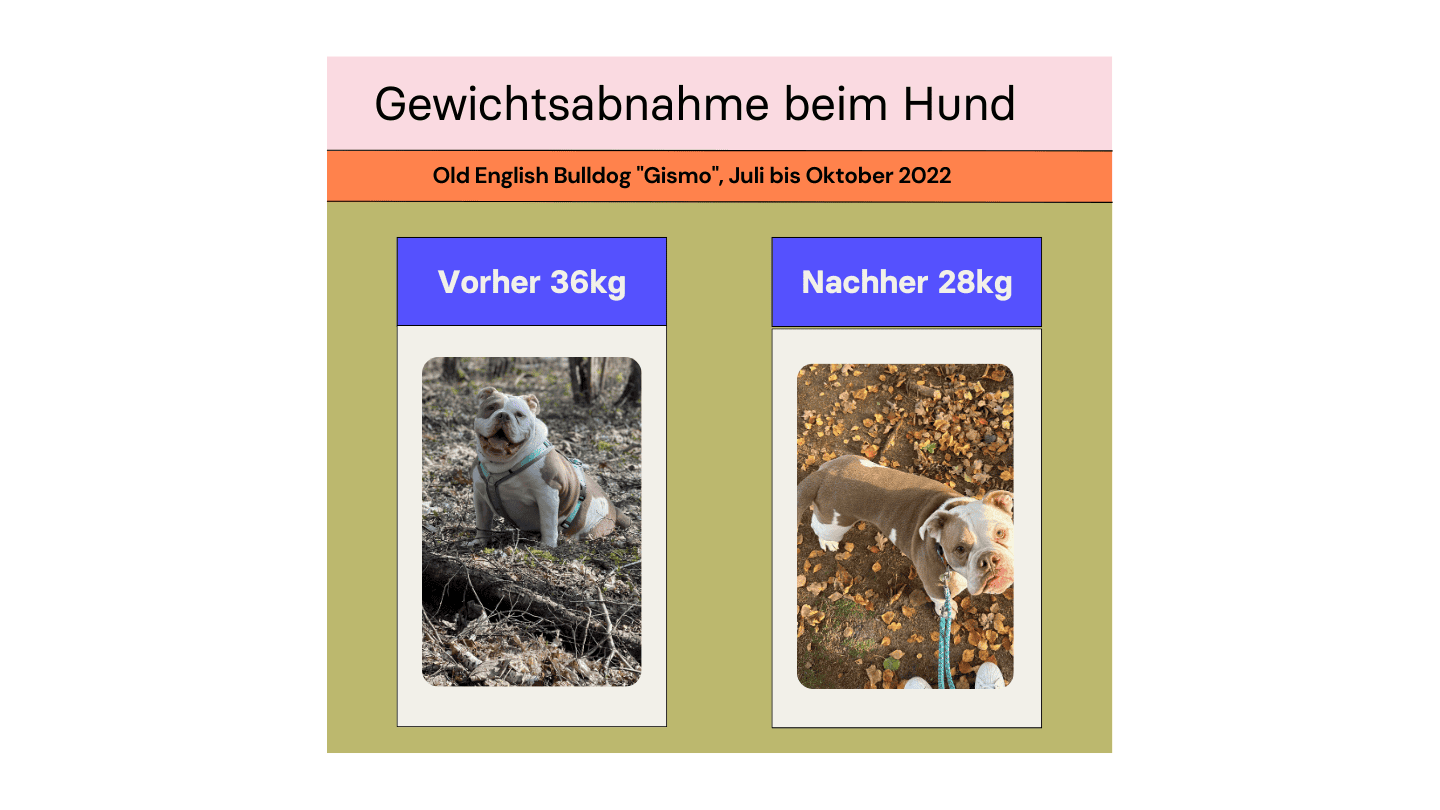 diät2 (1).png