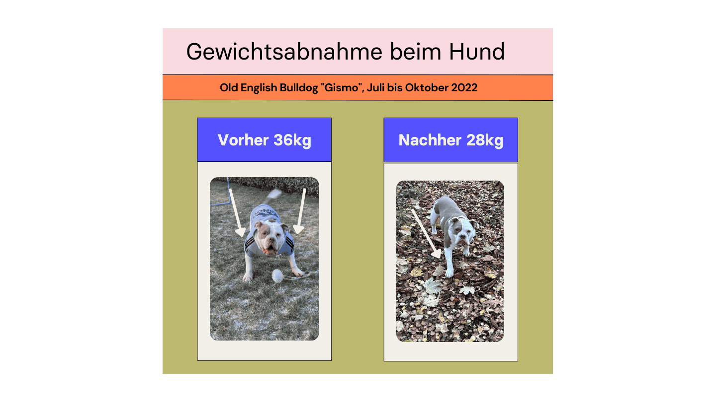 diät4 (2).png