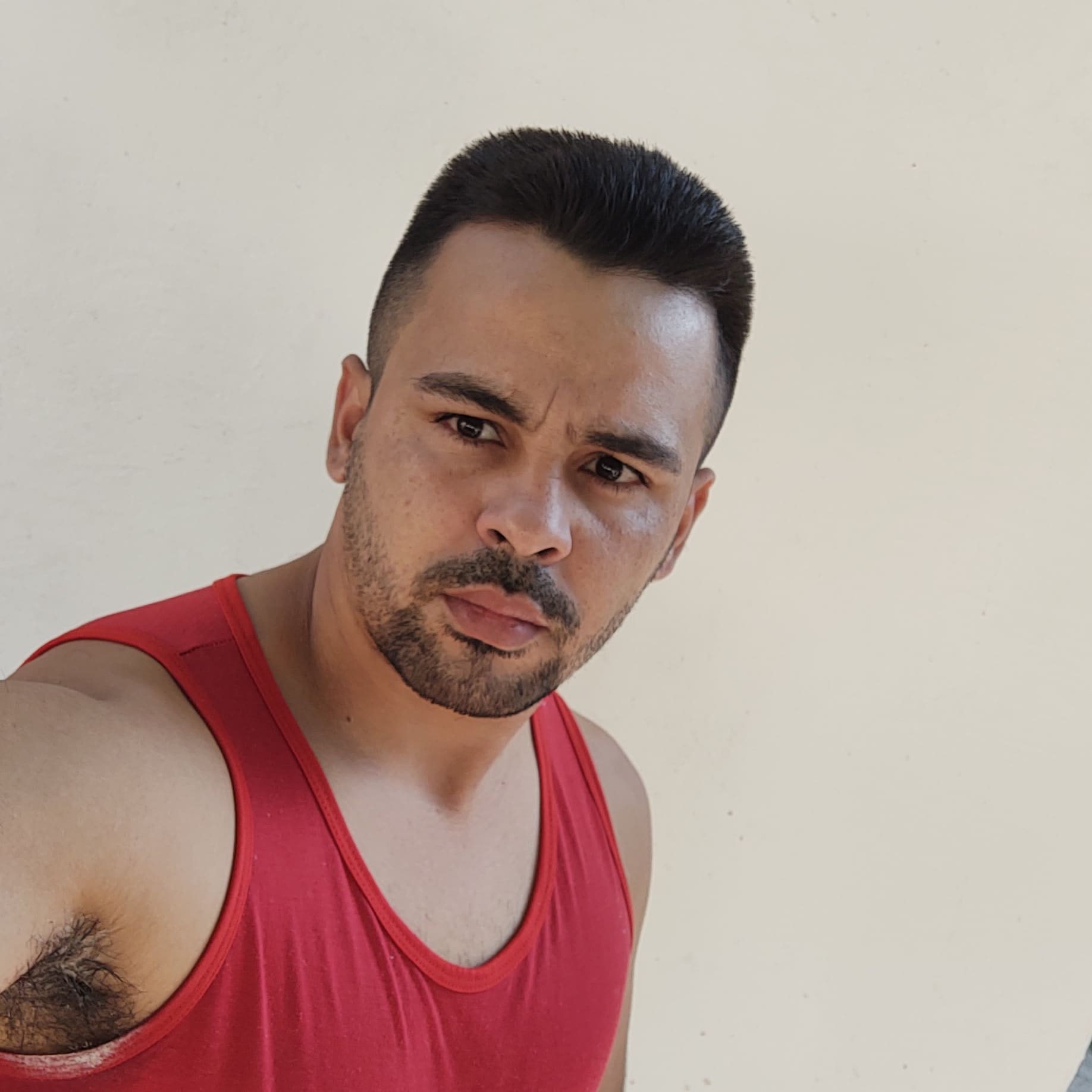Alcides R.