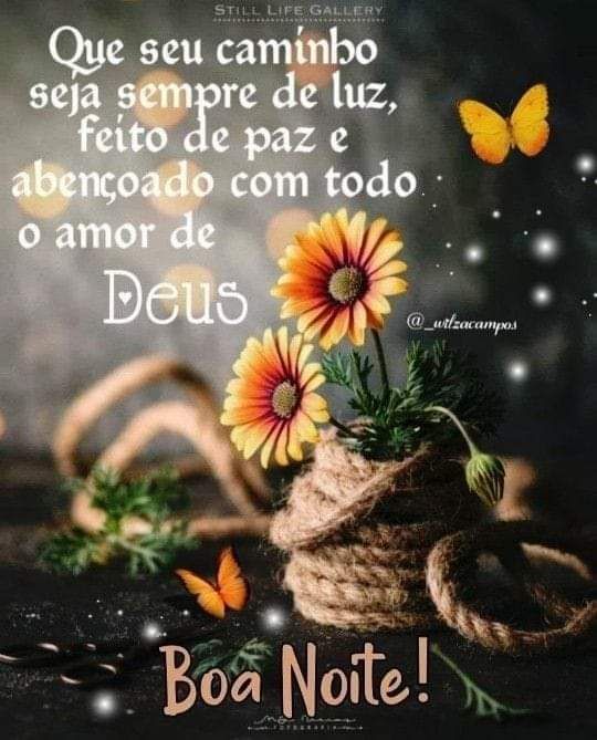 Andressa S.