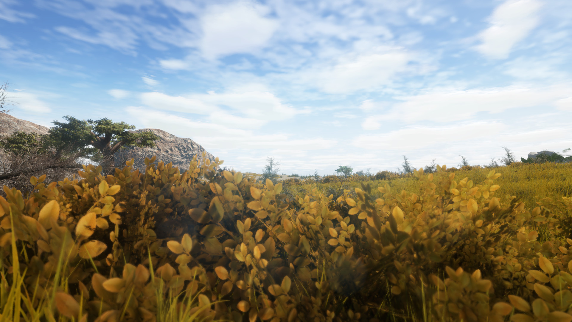 Animallica Screenshot 1
