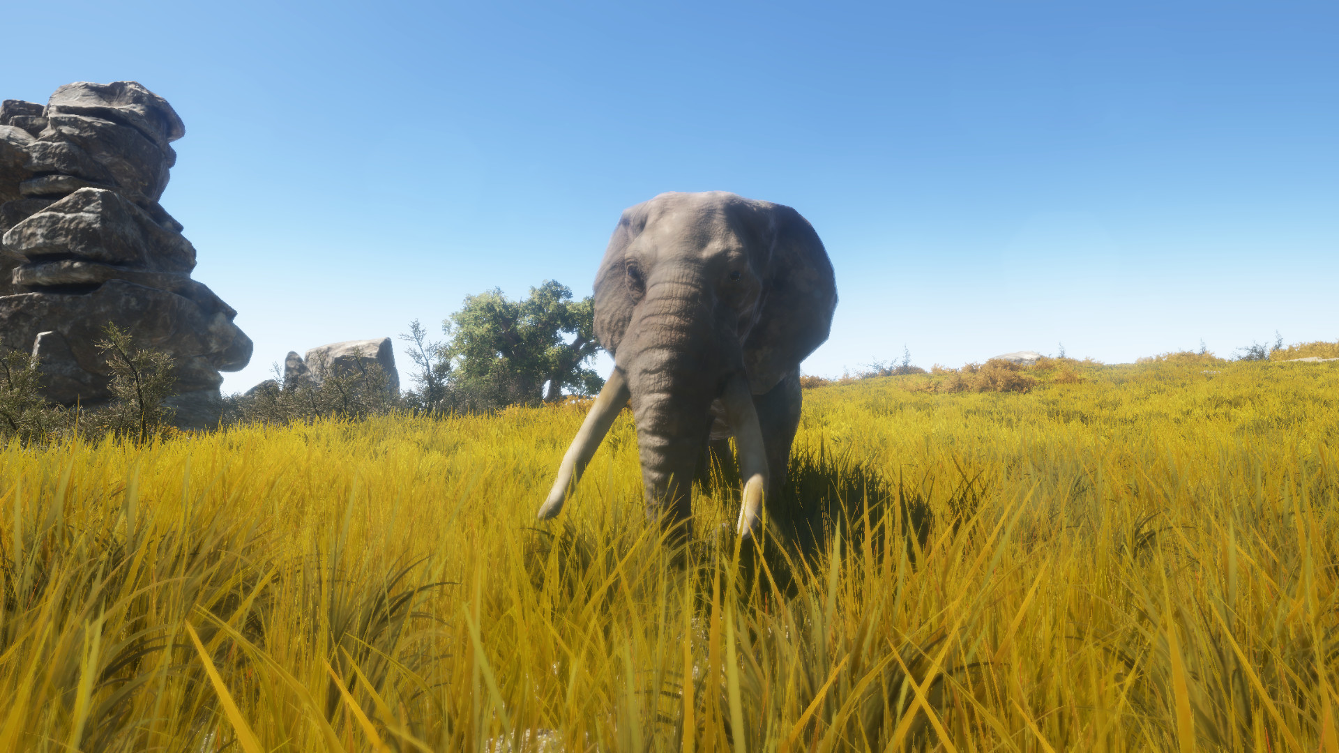 Animallica Screenshot 3