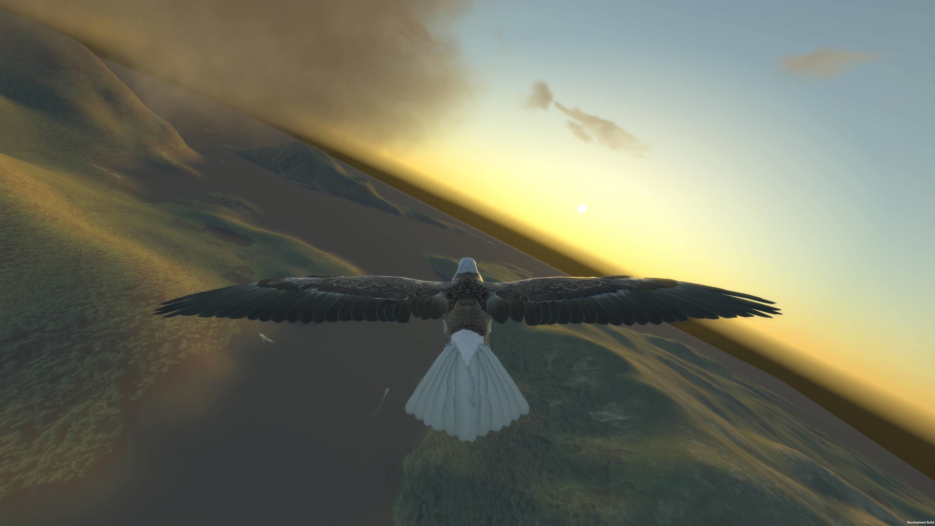 Aquila Bird Flight Simulator Screenshot 3