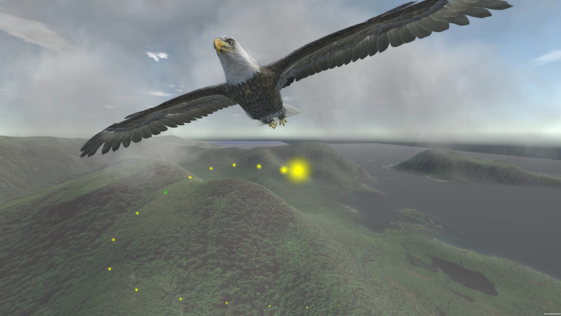 Aquila Bird Flight Simulator Screenshot 4