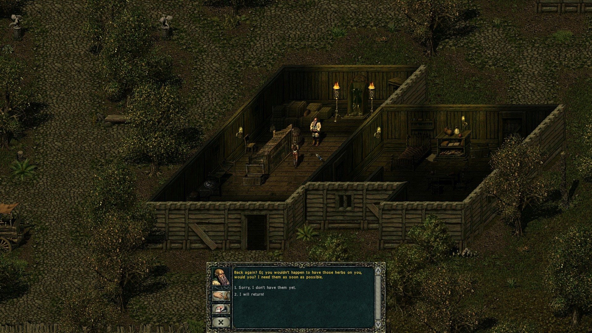 Divine Divinity Screenshot 1