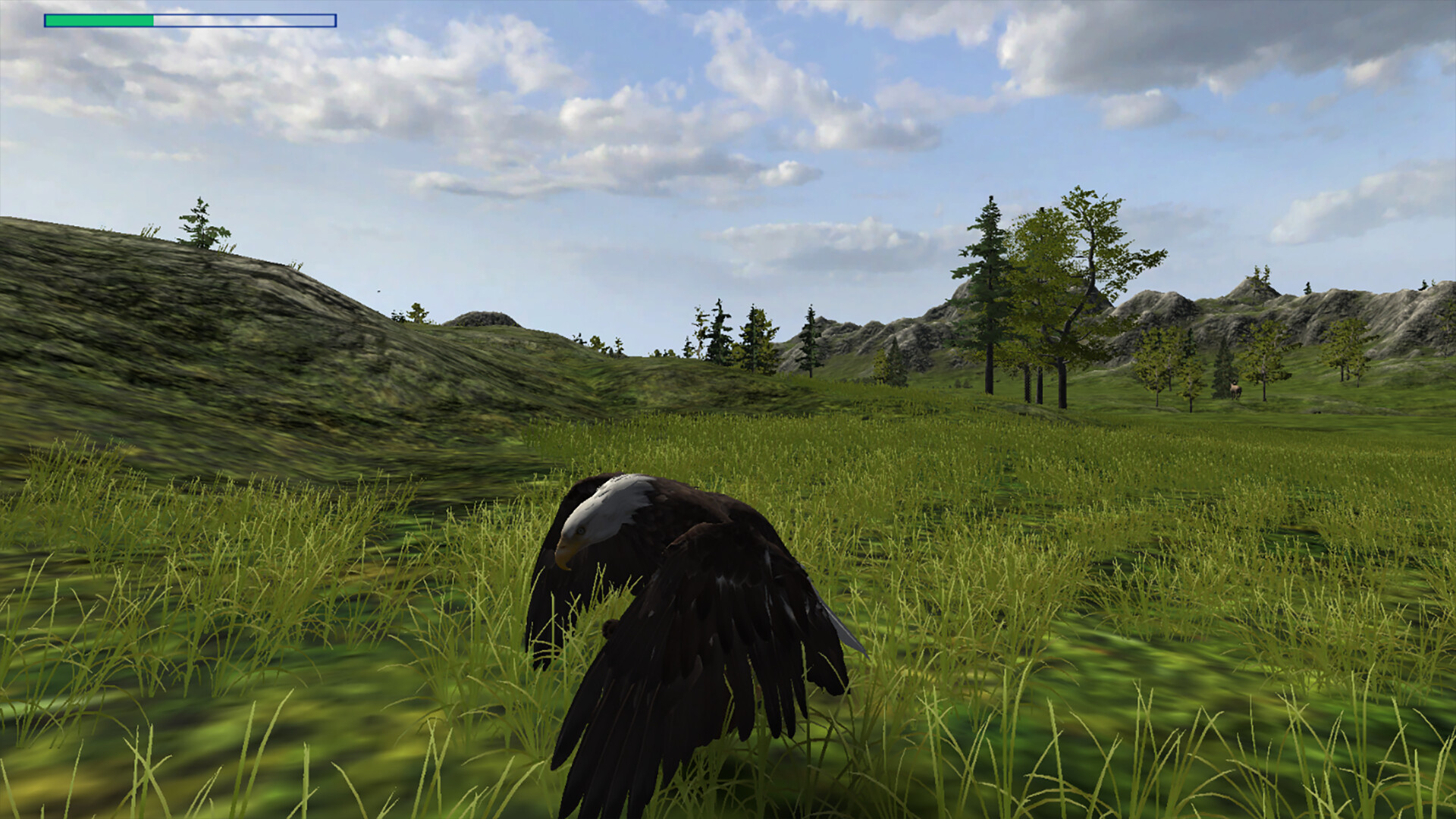 Eagle Hunting Journey Screenshot 1